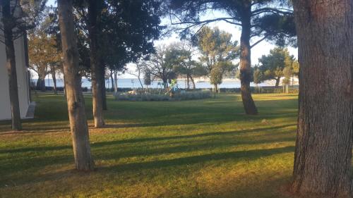 a park with trees and the ocean in the background at Darinka in Ulcinj