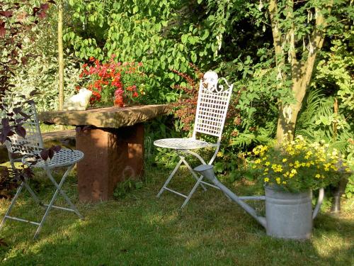 Un jardín fuera de Pension Waldesblick