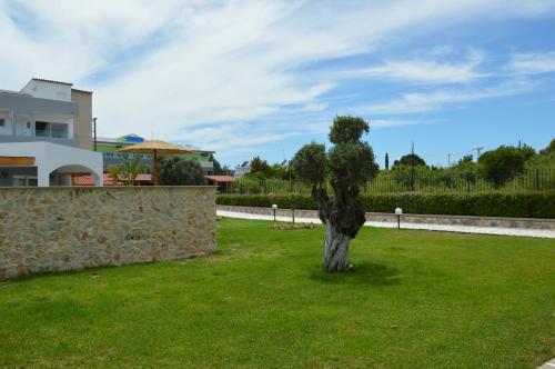 a tree in the middle of a field of grass at Kostas Studios in Faliraki