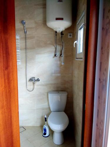 a bathroom with a toilet and a shower at Mini Hotel Уютный дворик in Odesa