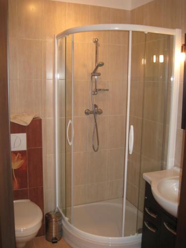 a bathroom with a shower with a toilet and a sink at Regina Maris Świnoujście - Apartament Andersz in Świnoujście