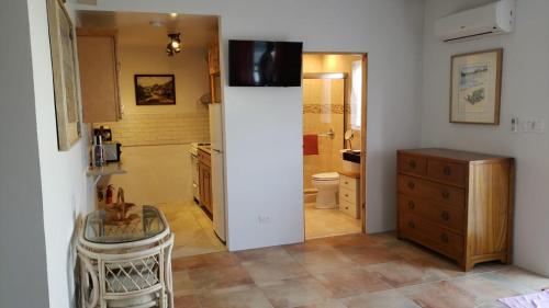 TV o dispositivi per l'intrattenimento presso Pauls Oceanview with Amazing Sunsets