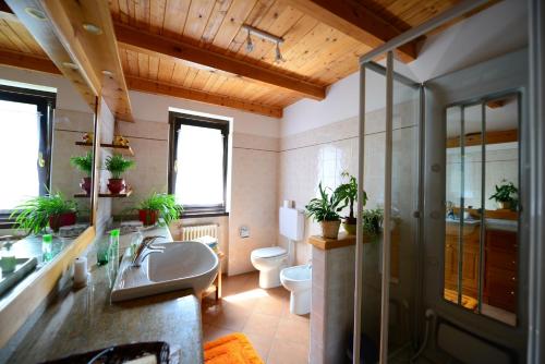 a bathroom with a sink and a toilet and a shower at B&B Scotty & Co. in Susa