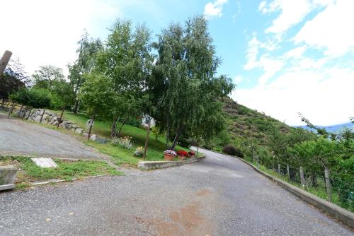 an empty road with a tree on the side of a hill at B&B Scotty & Co. in Susa