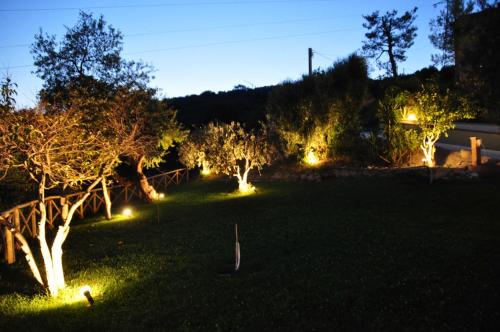 a yard lit up at night with trees and lights at Agriturismo MonteMaggio in Lapedona