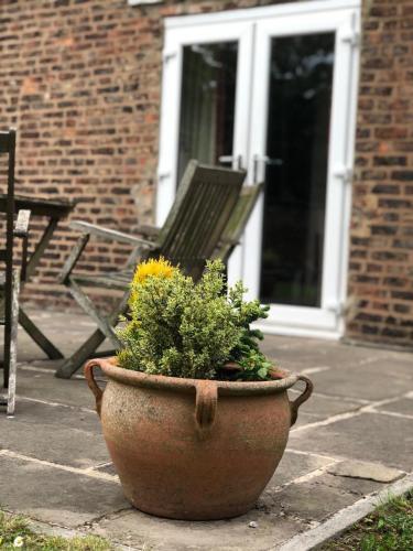 a plant in a pot in front of a chair at Carlton Towers Stapleton's & Parkgate's in Carlton