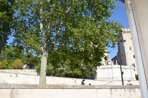 a man sitting under a tree in front of a building at face au Palais des Papes in Avignon