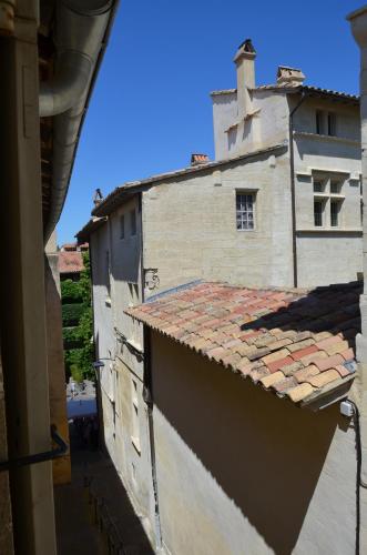 a view of the roof of a building at face au Palais des Papes in Avignon