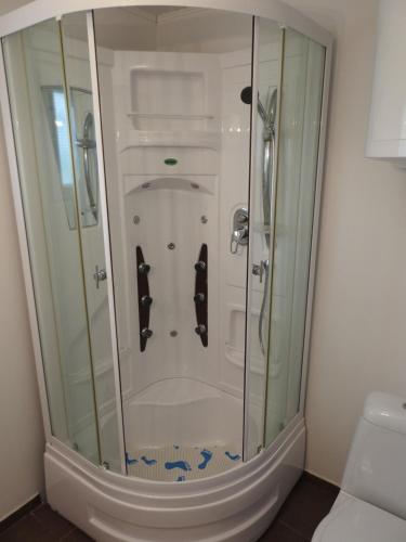 a shower with glass doors in a bathroom at Akali Apartman in Balatonakali