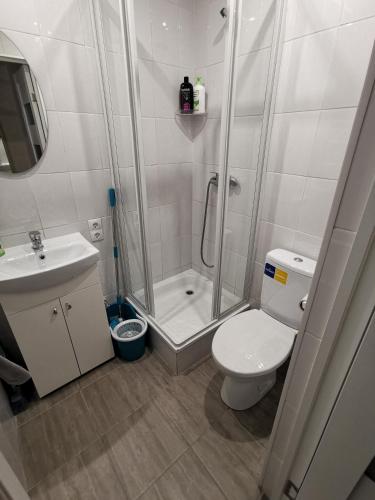 a bathroom with a shower and a toilet and a sink at Central Park Miluva in Daugavpils
