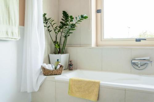 baño con lavabo y maceta en Orange Tree Garden vacation home, en Ayiá