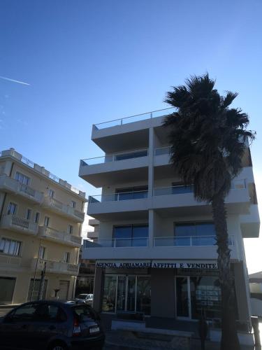 un bâtiment avec un palmier en face dans l'établissement infinito, à Alba Adriatica