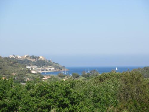 Φυσικό τοπίο κοντά σε αυτό το διαμέρισμα