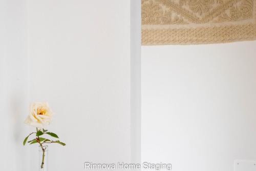 a flower in a vase next to a wall at Villa Vitto - Sleep & Go in Capoterra