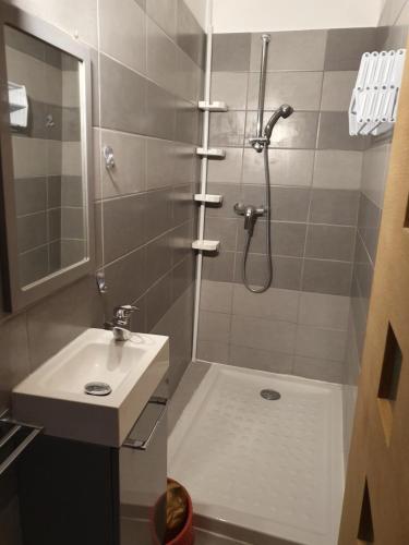 une salle de bain avec douche et lavabo dans l'établissement A Casetta di SANTA MARIA, à Furiani