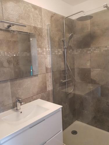 a bathroom with a shower and a sink at Appartement toit terrasse 6-8 couchages in Ajaccio