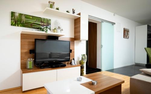 A television and/or entertainment centre at Apartments ViLu