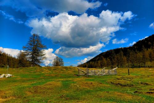 a wooden fence in a field on a hill at Apartments Bergblick in Sonnenalpe Nassfeld