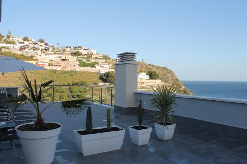 a group of potted plants on a balcony with the ocean at Dúplex playa Cabria in Almuñécar