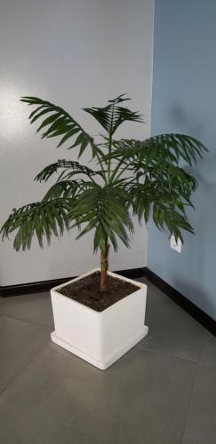 a plant in a white pot in a room at Rhombus Hotel in Luts'k