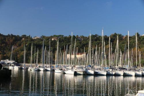 a bunch of boats are docked in the water at Casa Lenka in Málchina