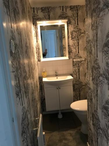 La salle de bains est pourvue d'un lavabo, d'un miroir et de toilettes. dans l'établissement Yxefall Norrgården, à Kisa