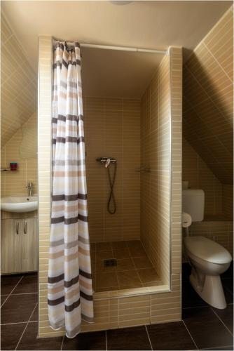 a bathroom with a shower and a toilet at Róma Apartmanház in Bogács