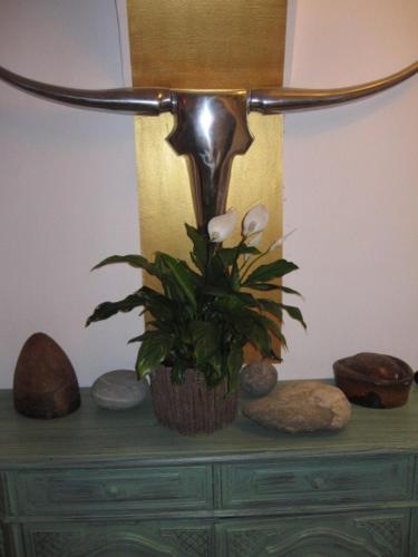 a plant sitting on top of a dresser with rocks at Ferienwohnung Lienz Egger in Lienz