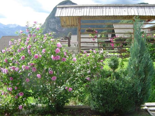 a garden with pink flowers in front of a building at 2 studio & apartment Cvetek Bohinj in Bohinj