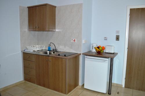 Η κουζίνα ή μικρή κουζίνα στο Millie's Apartments