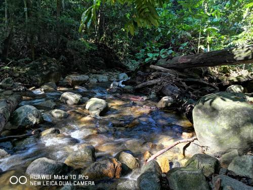a stream of water with rocks in a forest at Kairos Villa in Seremban
