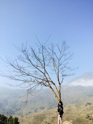 a person standing next to a tree on a hill at Anh Duc Homestay in Sa Pa