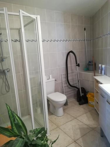 une salle de bain avec douche et toilettes dans l'établissement Vacances paradisiaques, à Savines