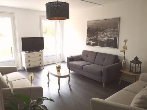 uma sala de estar com um sofá e uma televisão em Les bulles champenoises em Châtillon-sur-Marne