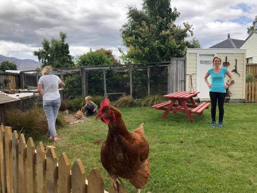 a group of people in a backyard with a chicken at Tailor Made Tekapo Accommodation - Hostel in Lake Tekapo