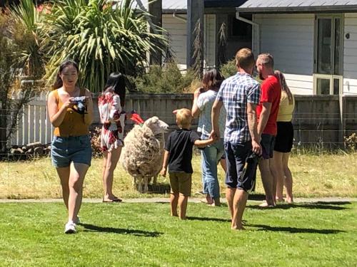 a group of people standing in a yard with a sheep at Tailor Made Tekapo Accommodation - Hostel in Lake Tekapo