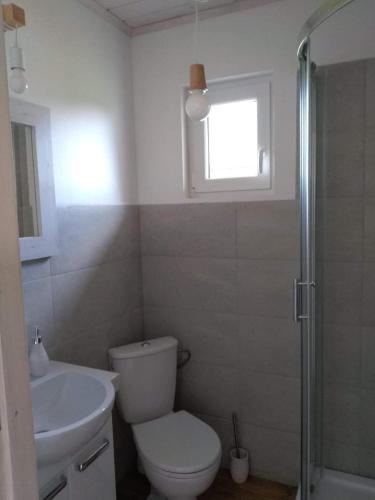 a bathroom with a toilet and a sink and a window at Domki na górce in Kołczewo