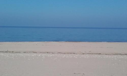 Φωτογραφία από το άλμπουμ του NEPTUNE σε Lion-sur-Mer