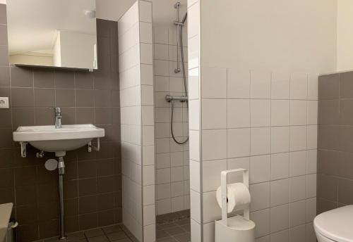 ein Bad mit einer Dusche, einem Waschbecken und einem WC in der Unterkunft Wina Boshuisje Veluwe in Otterlo