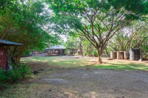 a large yard with a large tree and a building at Avanti Kalagram Hill Top Resort, Mulshi in Kolvan