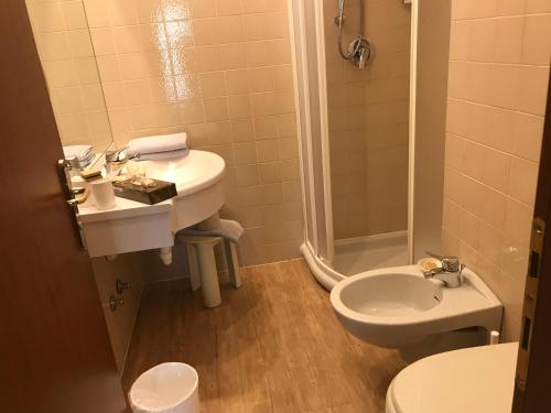 a bathroom with a sink and a toilet and a shower at Hotel Roma in Garda