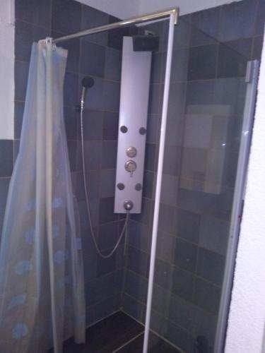 a shower with a glass door with a shower curtain at Mein Marienhof in Bestensee