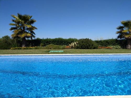 una piscina azul con palmeras en el fondo en Monte de Sao Francisco en São Miguel de Machede