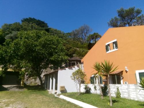 une maison avec un arbre dans la cour dans l'établissement Villa in Sintra - Casa da Penha Ferrim, à Sintra