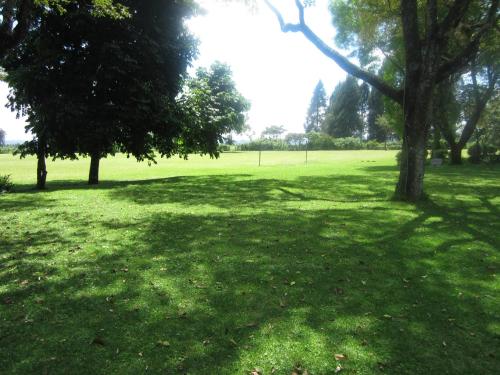 a green field with trees in a park at ACK St.Julians Centre in Limuru