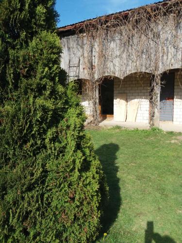 an old building with a bush in front of it at Lejas dzīvoklis Beči in Vecumnieki