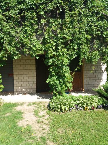 a building with a door under a tree at Lejas dzīvoklis Beči in Vecumnieki