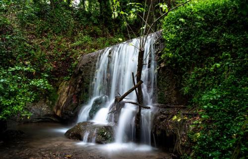 a waterfall in the middle of a forest at Sivros Stone Cottages in Sívros