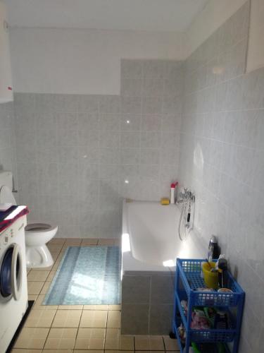 a white bathroom with a tub and a toilet at Kuća za odmor Dolovi in Golubić