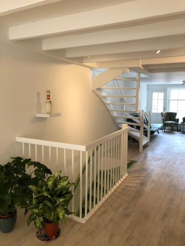 a staircase in a living room with potted plants at LUXE TOPLOCATIE! Monument hartje centrum Dordrecht, 2 badkamers, 2 keukens, tuintje (10 personen) in Dordrecht